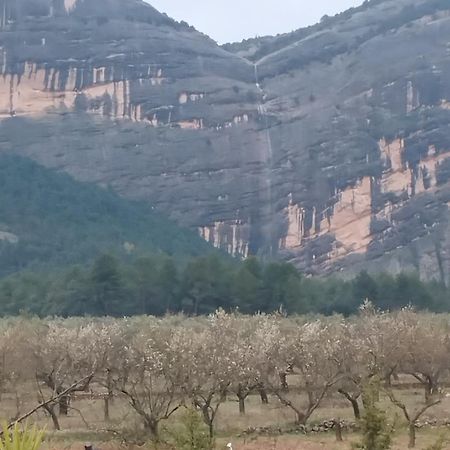 شقة Mas De Manresa هورتا دي سان خوان المظهر الخارجي الصورة